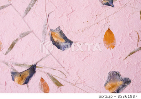 mulberry paper with red and yellow flower petal and seed texture background. 85361987