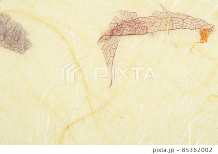 Striped leaves on Mulberry paper texture background Striped leaves on Mulberry paper texture background 85362002