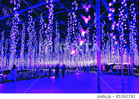 イルミネーション 85362782