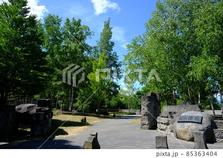 北海道札幌市の石山緑地と採石場跡 85363404