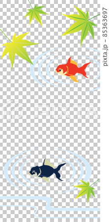 夏季圖像背景圖金魚 85363697