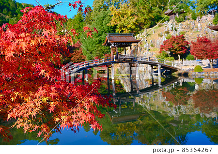 永保寺　臥竜池　無際橋　紅葉　多治見市 85364267