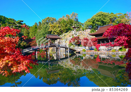 永保寺　永保寺庭園　無際橋　観音堂　梵音巌　多治見市 85364269