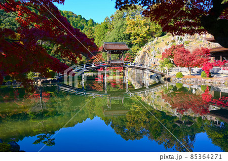 永保寺 臥竜池 無際橋 紅葉 多治見市 永保寺 臥竜池 無際橋 紅葉 多治見市 85364271