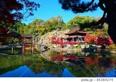永保寺 永保寺庭園 無際橋 観音堂 梵音巌 多治見市 永保寺 永保寺庭園 無際橋 観音堂 梵音巌 多治見市 85364274