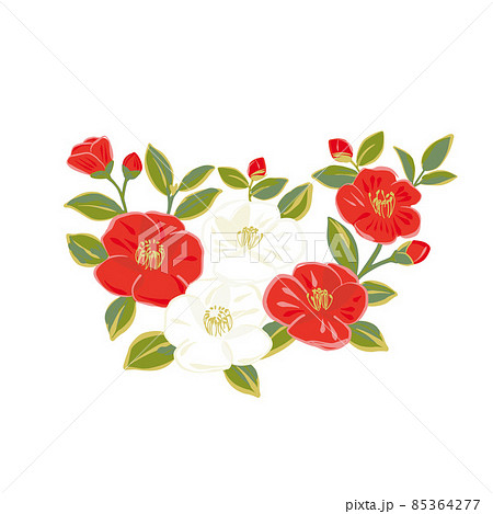 紅白の椿の花のイラストのイラスト素材