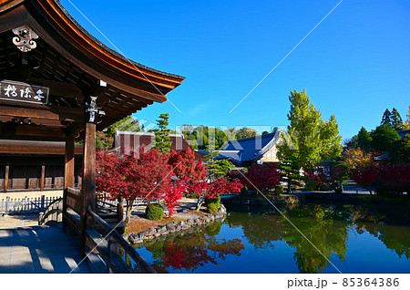 永保寺　永保寺庭園　無際橋　紅葉　多治見市 85364386