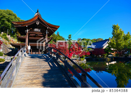 永保寺 永保寺庭園 無際橋 紅葉 多治見市 永保寺 永保寺庭園 無際橋 紅葉 多治見市 85364388