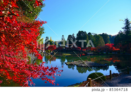 永保寺　永保寺庭園　臥竜池　紅葉　多治見市 85364718
