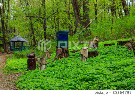 Ancient wooden beehives in old rural apiary 85364795