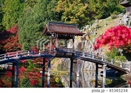 永保寺　無際橋　紅葉　多治見市 85365238