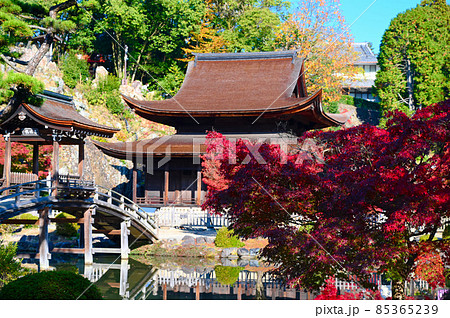 永保寺　観音堂　紅葉　多治見市 85365239