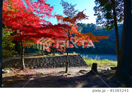 永保寺　勅使門跡　紅葉　多治見市 85365243