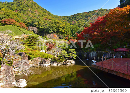 佐賀県 武雄市 慧洲園(けいしゅうえん)の紅葉 佐賀県 武雄市 慧洲園(けいしゅうえん)の紅葉 85365560