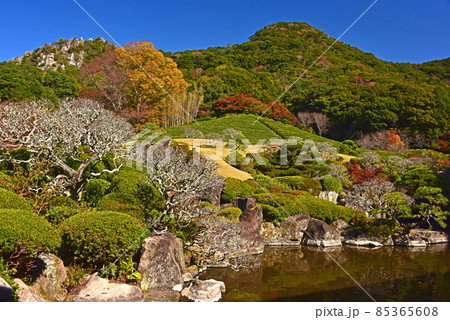 佐賀県　武雄市　慧洲園（けいしゅうえん）の紅葉 85365608
