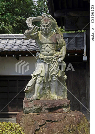 東円寺(朝霞) 東円寺(朝霞) 85366108