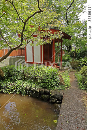 東円寺（朝霞） 85366114