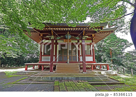 東円寺(朝霞) 東円寺(朝霞) 85366115