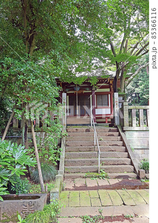 東円寺（朝霞） 85366116