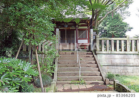 東円寺(朝霞) 東円寺(朝霞) 85366205