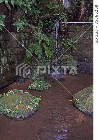 東円寺(朝霞) 東円寺(朝霞) 85366209