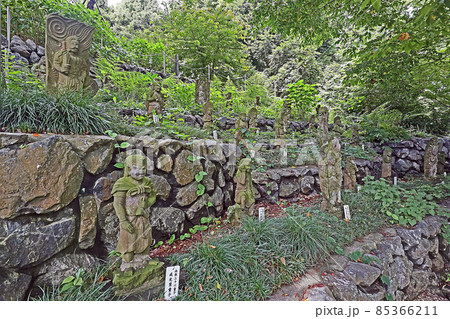 東円寺(朝霞) 東円寺(朝霞) 85366211