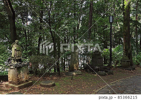 東円寺（朝霞） 85366215