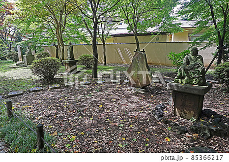 東円寺(朝霞) 東円寺(朝霞) 85366217