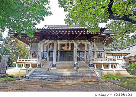 東円寺(朝霞) 東円寺(朝霞) 85366252