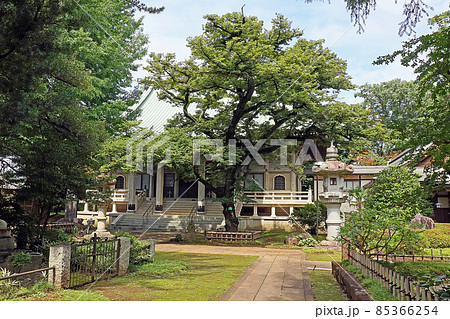 東円寺(朝霞) 東円寺(朝霞) 85366254