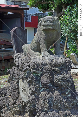 浜崎氷川神社（朝霞） 85366517
