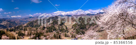 【長野県】　山村の春　信州　小川村　パノラマ 85366556