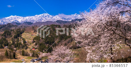 【長野県】　山村の春　信州　小川村　パノラマ 85366557