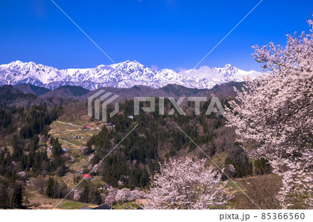 【長野県】　山村の春　信州　小川村 85366560