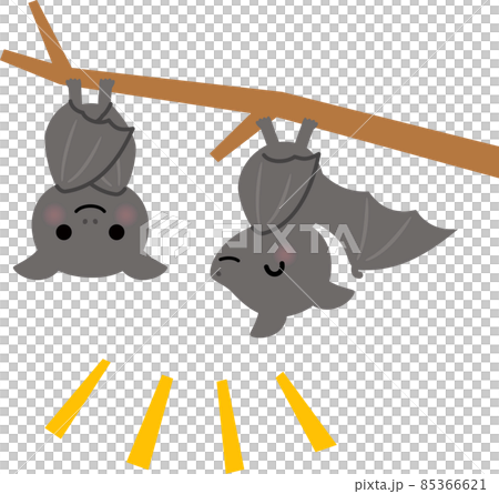 逆さまにぶら下がるコウモリ 85366621