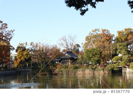 目黒区 碑文谷公園 目黒区 碑文谷公園 85367770