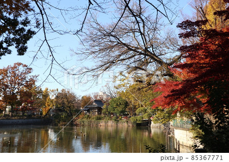目黒区　碑文谷公園 85367771