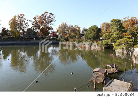 目黒区　碑文谷公園 85368034