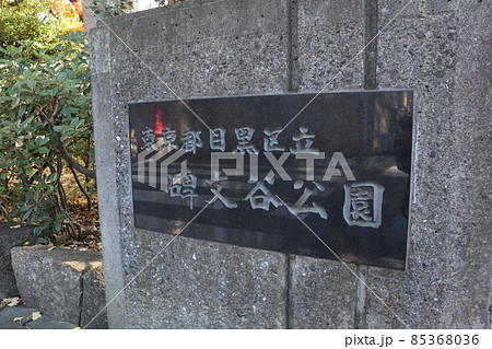 目黒区 碑文谷公園 目黒区 碑文谷公園 85368036