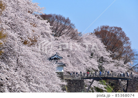 桜景　山形城 85368074