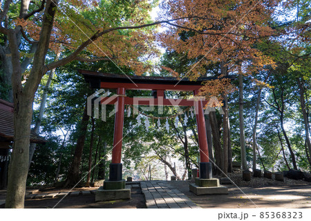 氷川女體神社の鳥居 氷川女體神社の鳥居 85368323