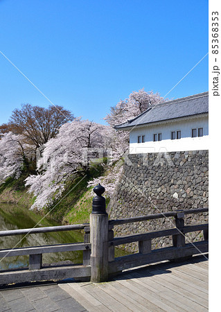 桜景 山形城 桜景 山形城 85368353