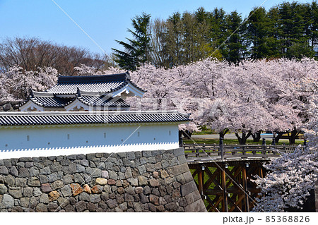 桜景　山形城 85368826