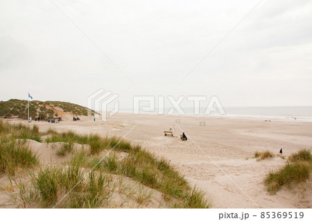 North Sea beach in Denmark. Dune grass. North Sea beach in Denmark. Dune grass. 85369519