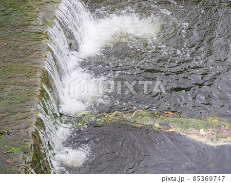 A small rapids in a river with mud and a snake swimming in it A small rapids in a river with mud and a snake swimming in it 85369747