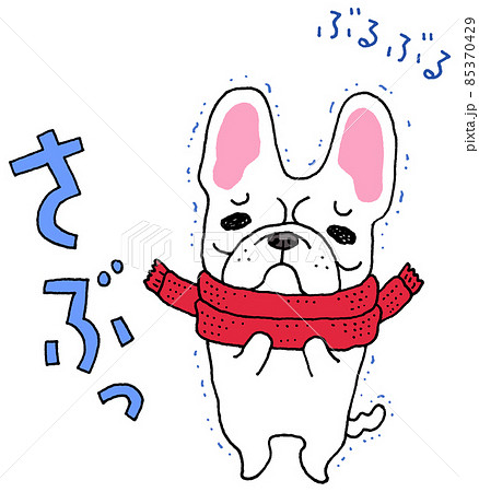ぶるぶる フレンチブルドッグ ぶるぶる フレンチブルドッグ 85370429