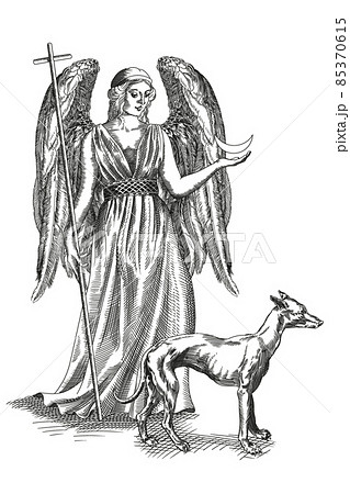 Medieval style engraving. 85370615