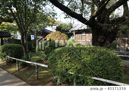 永福町　大圓寺 85371359