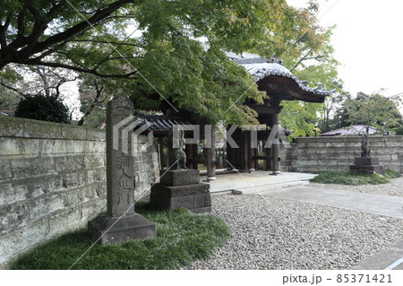 永福町　大圓寺 85371421