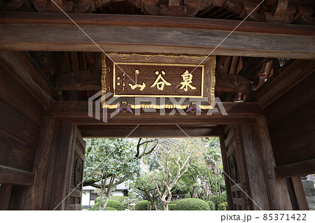 永福町　大圓寺 85371422